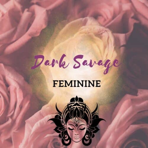the dark savage feminine workshop