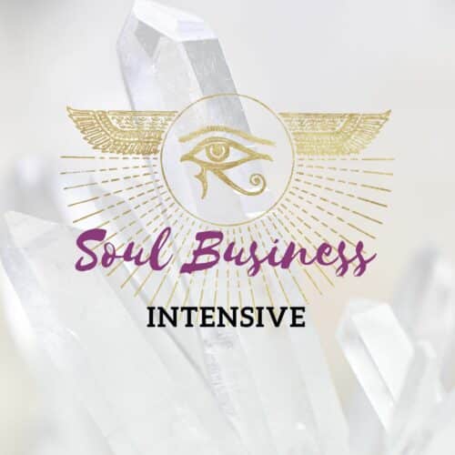 Soul Business Intensive coaching product image